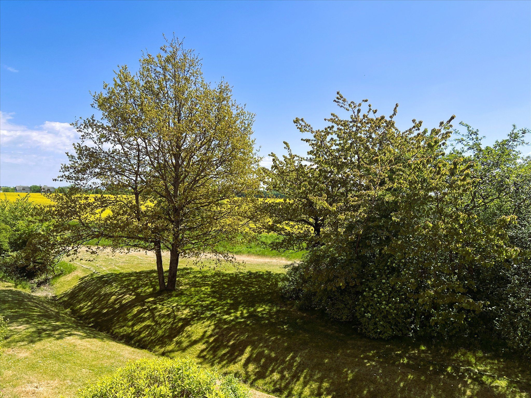 Feriendorf Rugana Klassik Ferienwohnung mit 1 Schlafzimmer (D44) Insel Rügen - Gartenblick