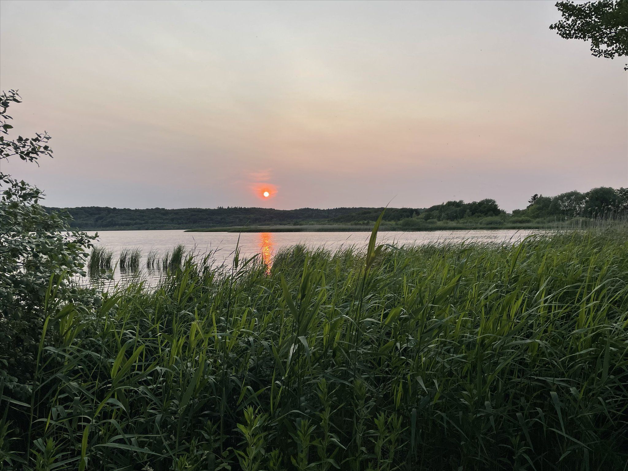 Dünenpark Binz Komfort Ferienwohnung mit 1 Schlafzimmer und Balkon im Dachgeschoss (197) Insel Rügen - Strand