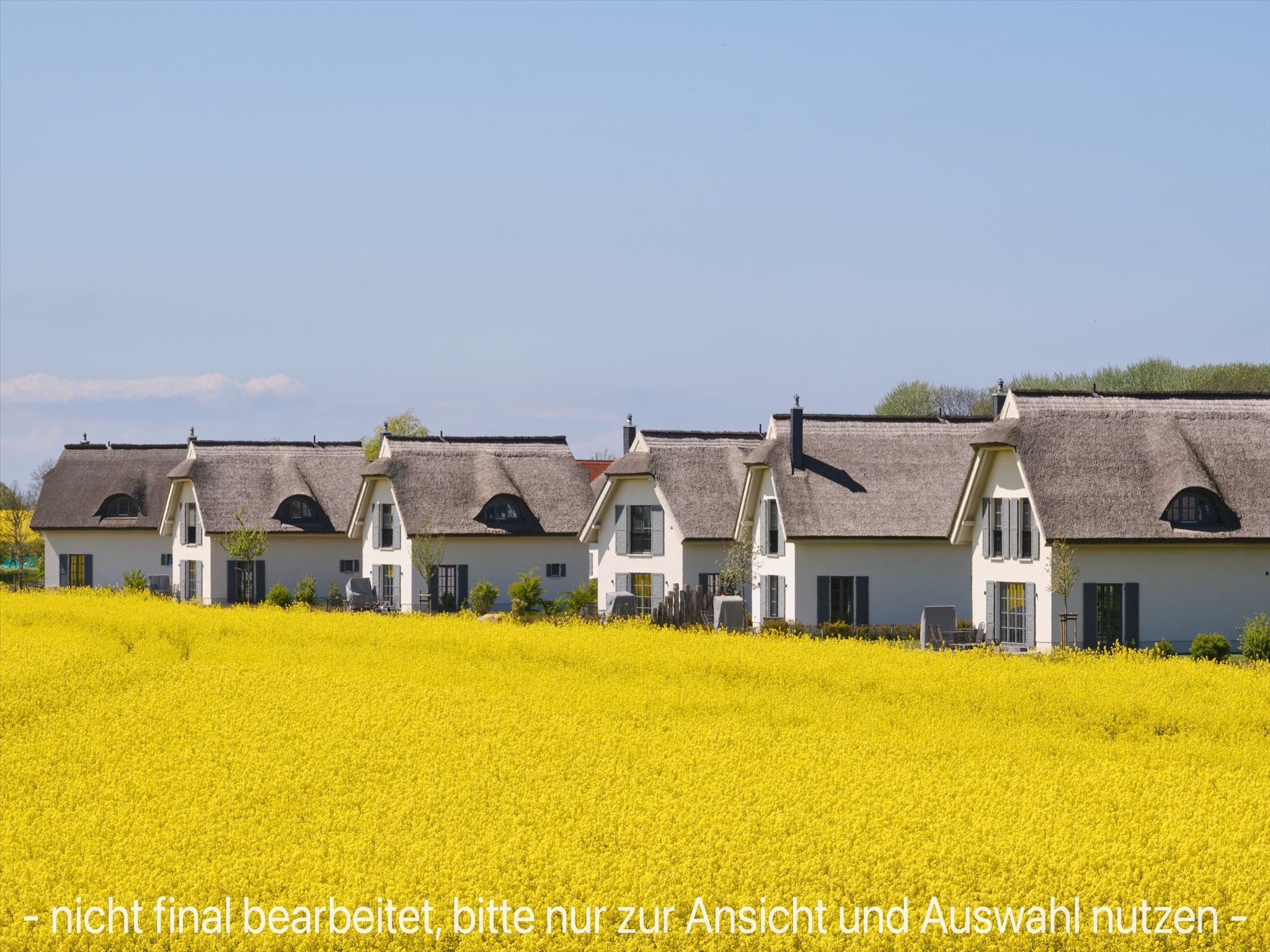 LuxusPlus Reetdachvilla mit 4 Schlafzimmern, Sauna und Kamin (G10) - Nachbarschaft