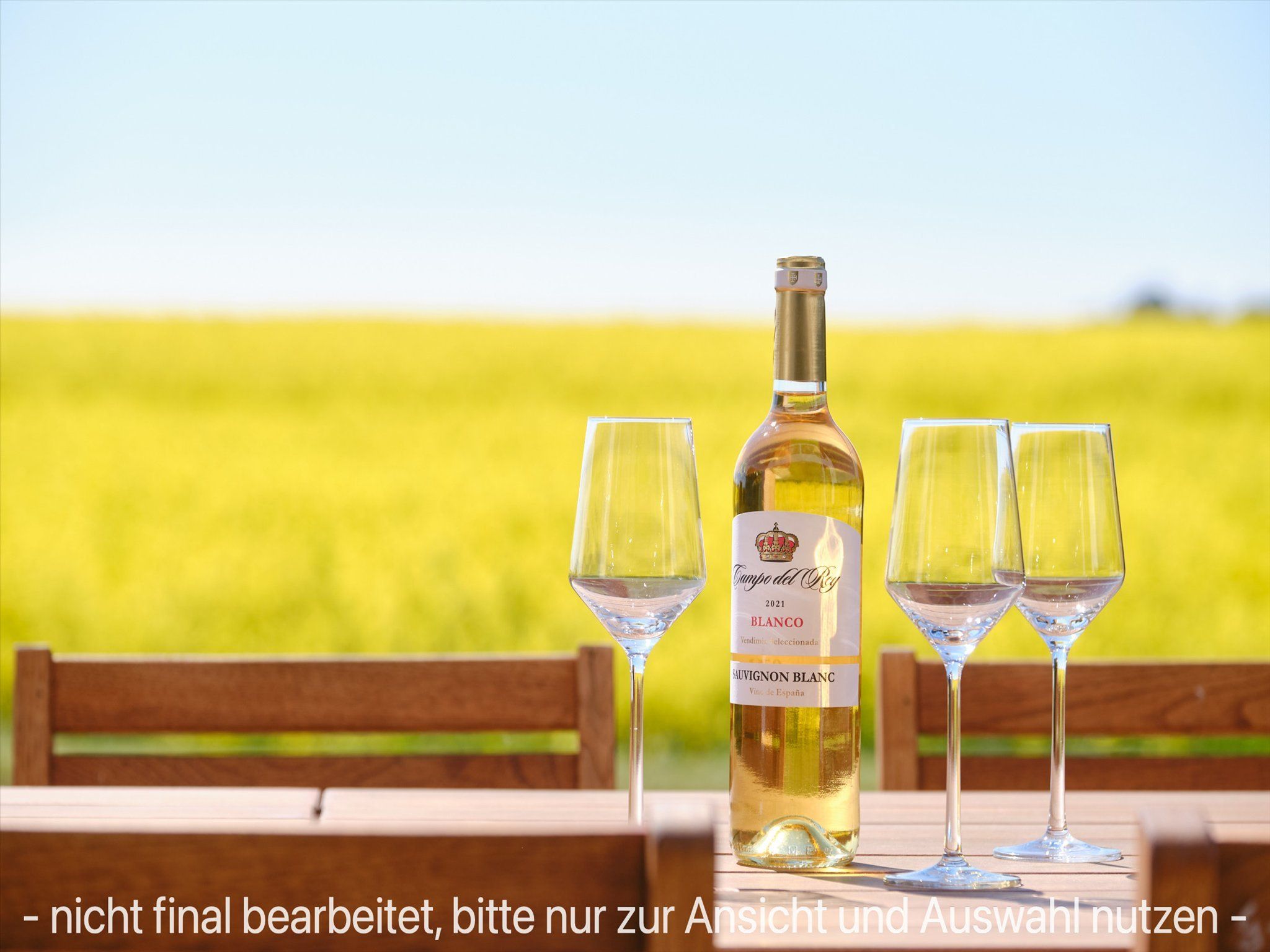 LuxusPlus Reetdachvilla mit 4 Schlafzimmern, Sauna und Kamin (G10) - Terrasse