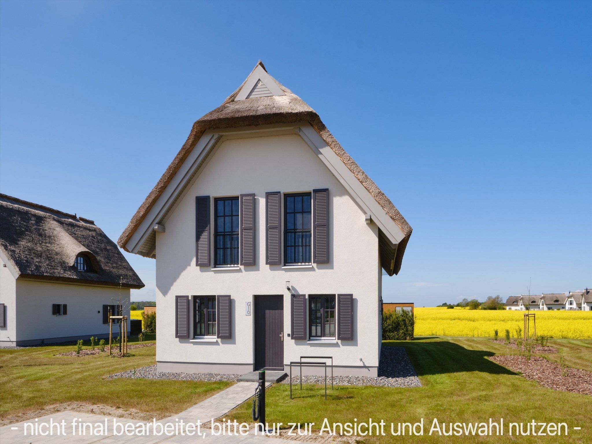 LuxusPlus Reetdachvilla mit 4 Schlafzimmern, Sauna und Kamin (G10) - Hauptansicht