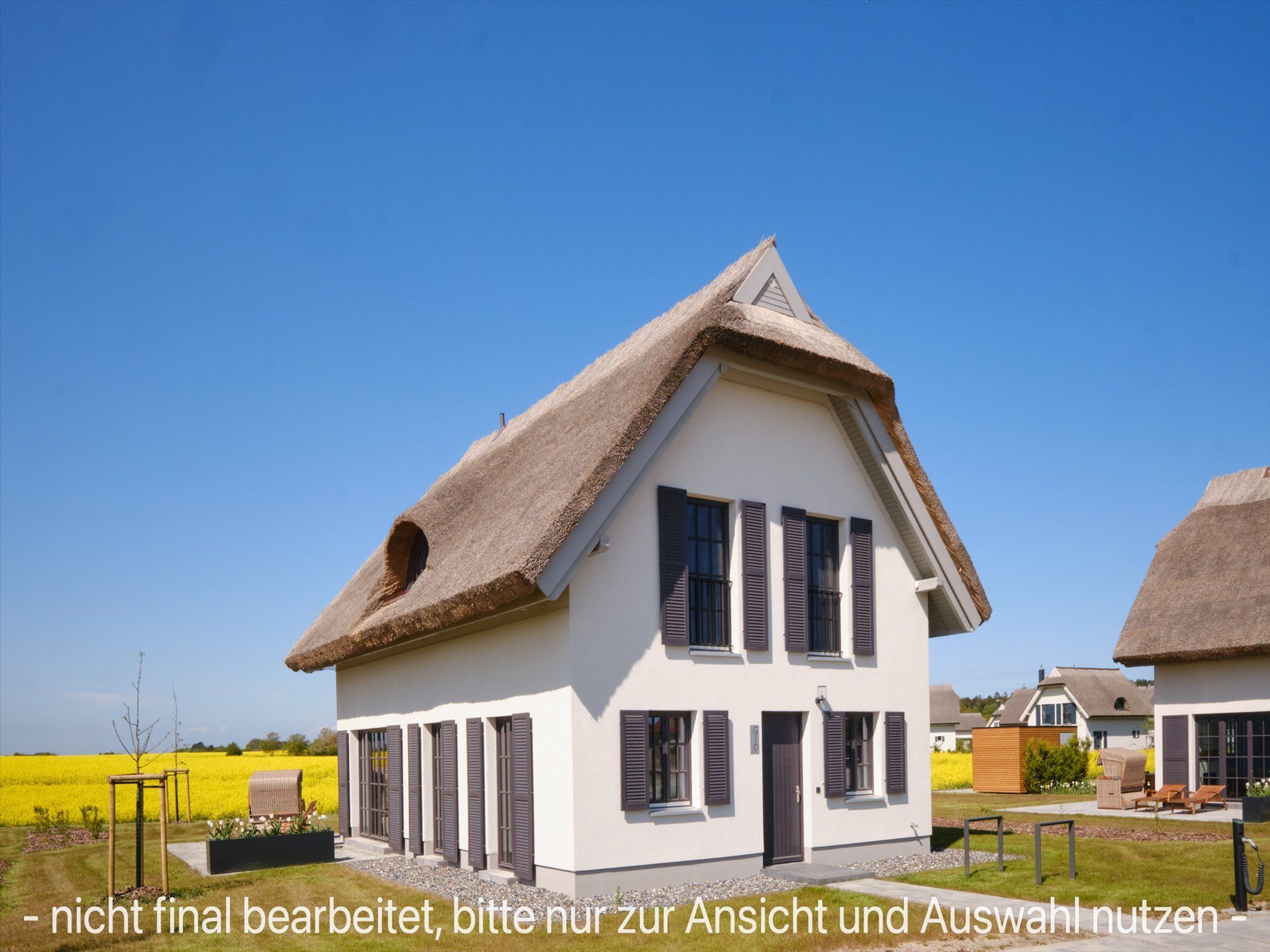 LuxusPlus Reetdachvilla mit 4 Schlafzimmern, Sauna und Kamin (G10) - Hauptansicht