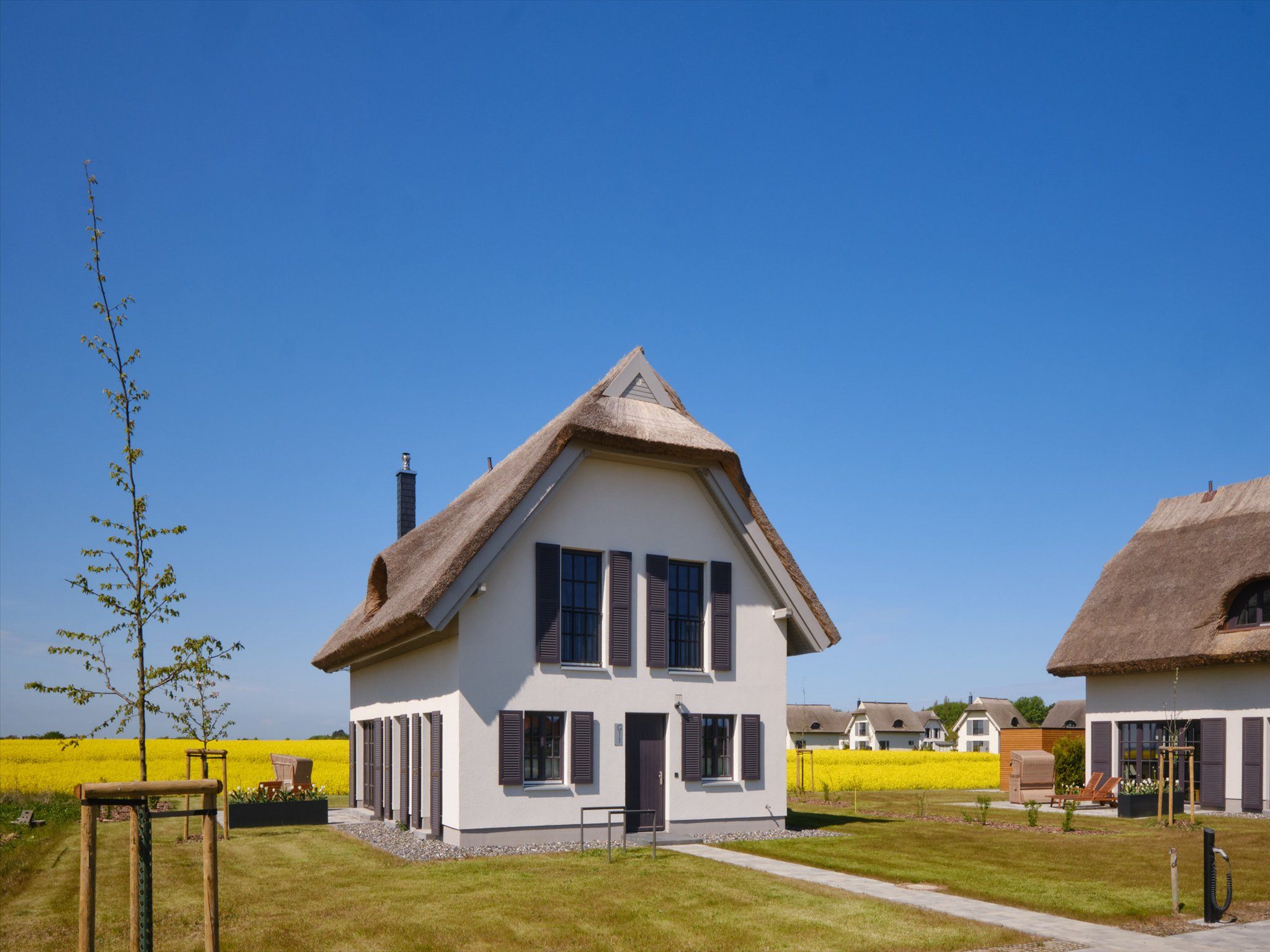 LuxusPlus Reetdachvilla mit 4 Schlafzimmern, Sauna und Kamin (G11) - Hauptansicht