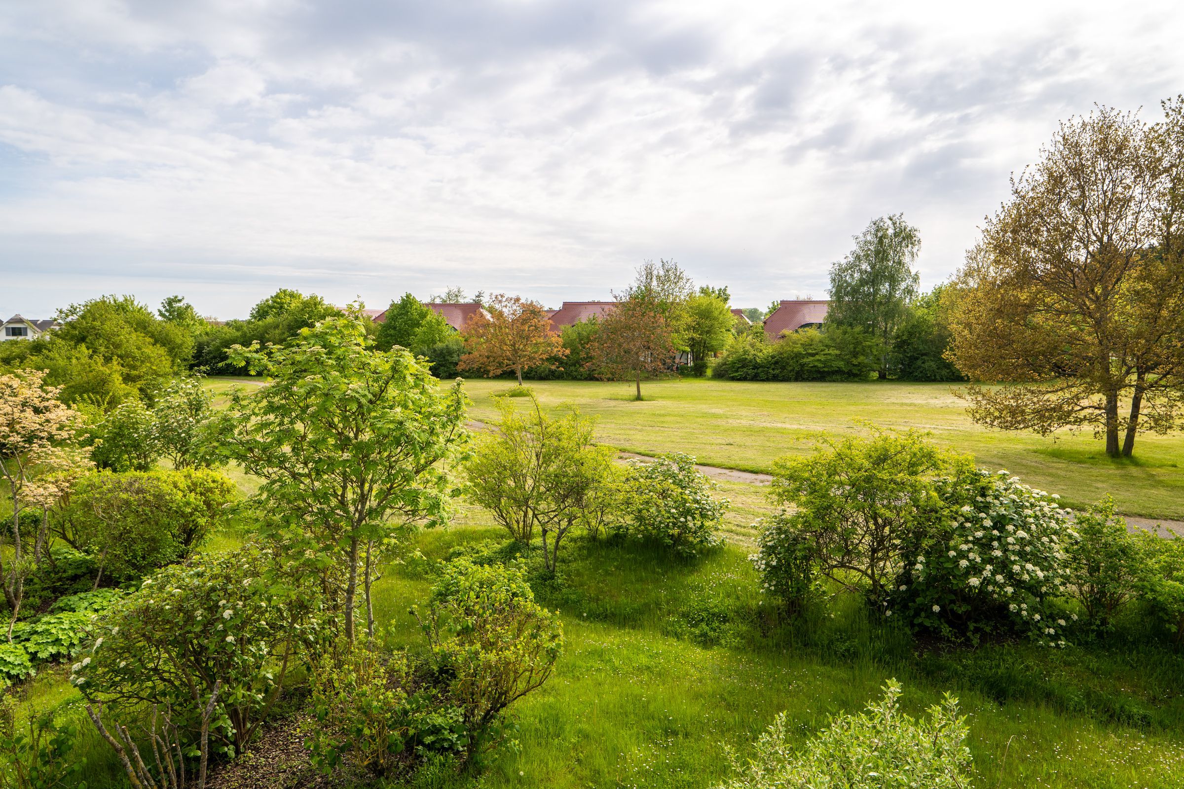 Feriendorf Rugana Klassik 1-Raum Ferienwohnung mit Terrasse (A51) Insel Rügen - Gartenblick