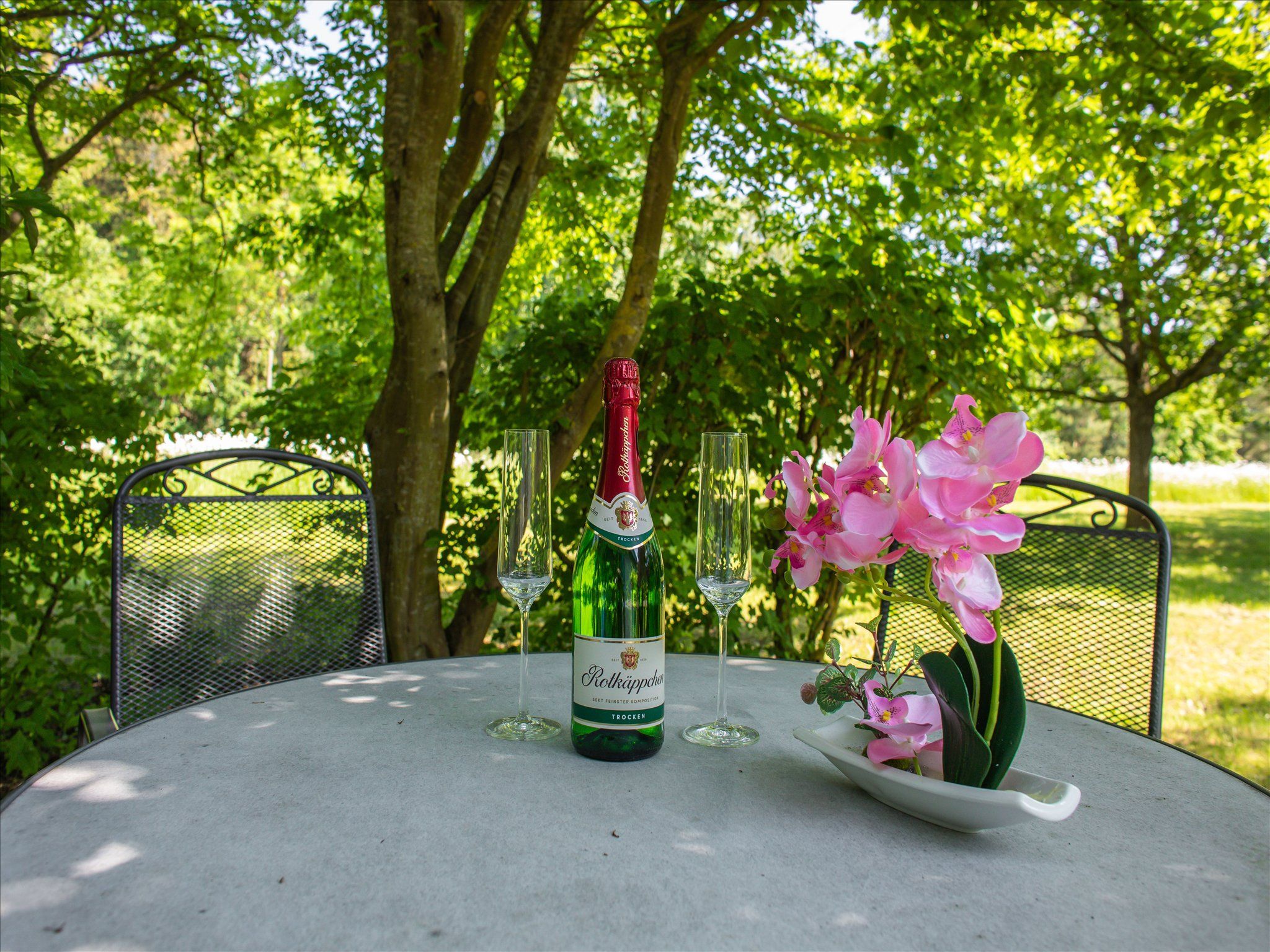 Feriendorf Rugana Klassik 1-Raum Ferienwohnung mit Terrasse (A51) Insel Rügen - Terrasse