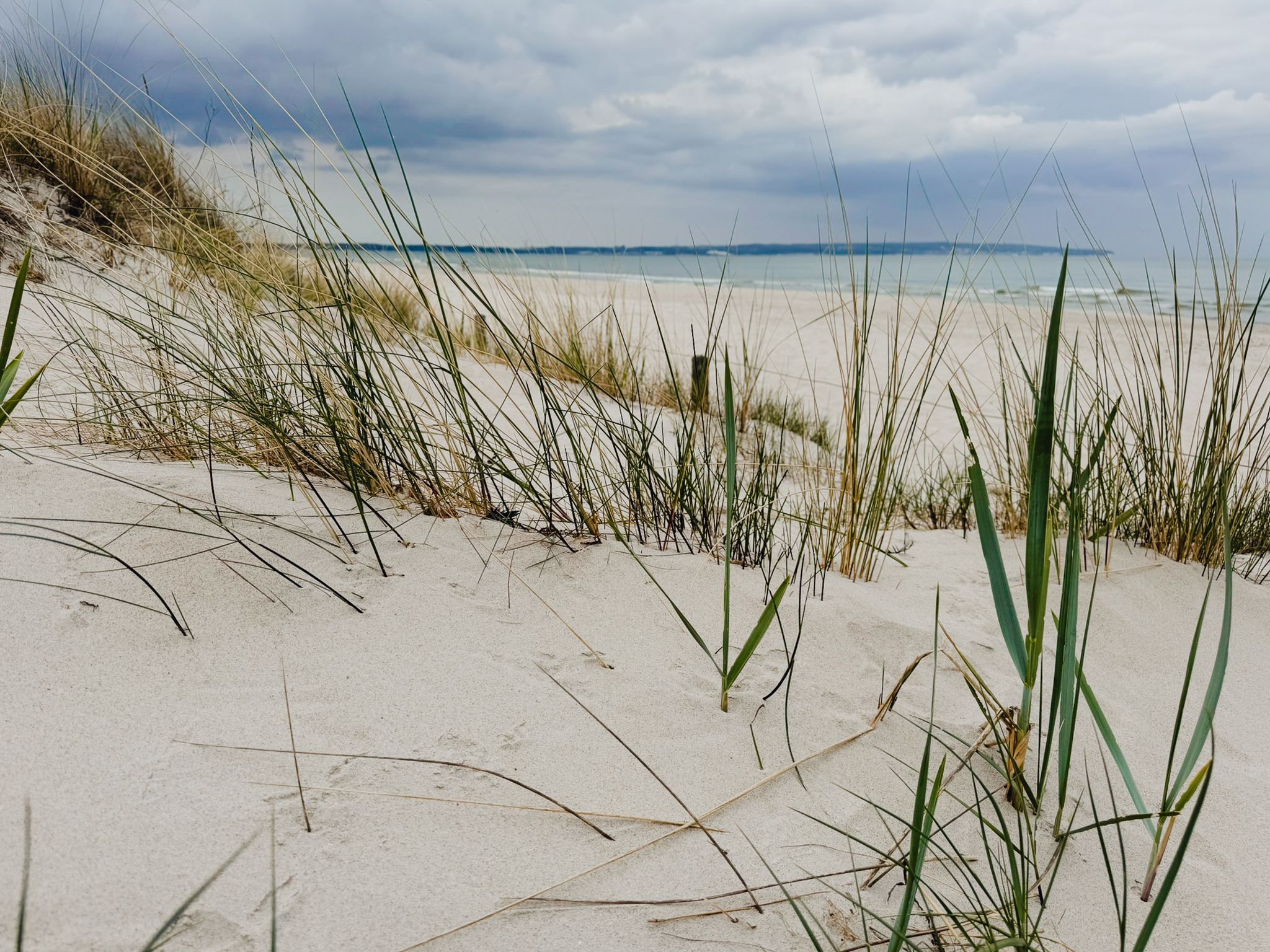 Dünenpark Binz Klassik Ferienwohnung mit 1 Schlafzimmer und Terrasse im Erdgeschoss (178) Insel Rügen - Strand