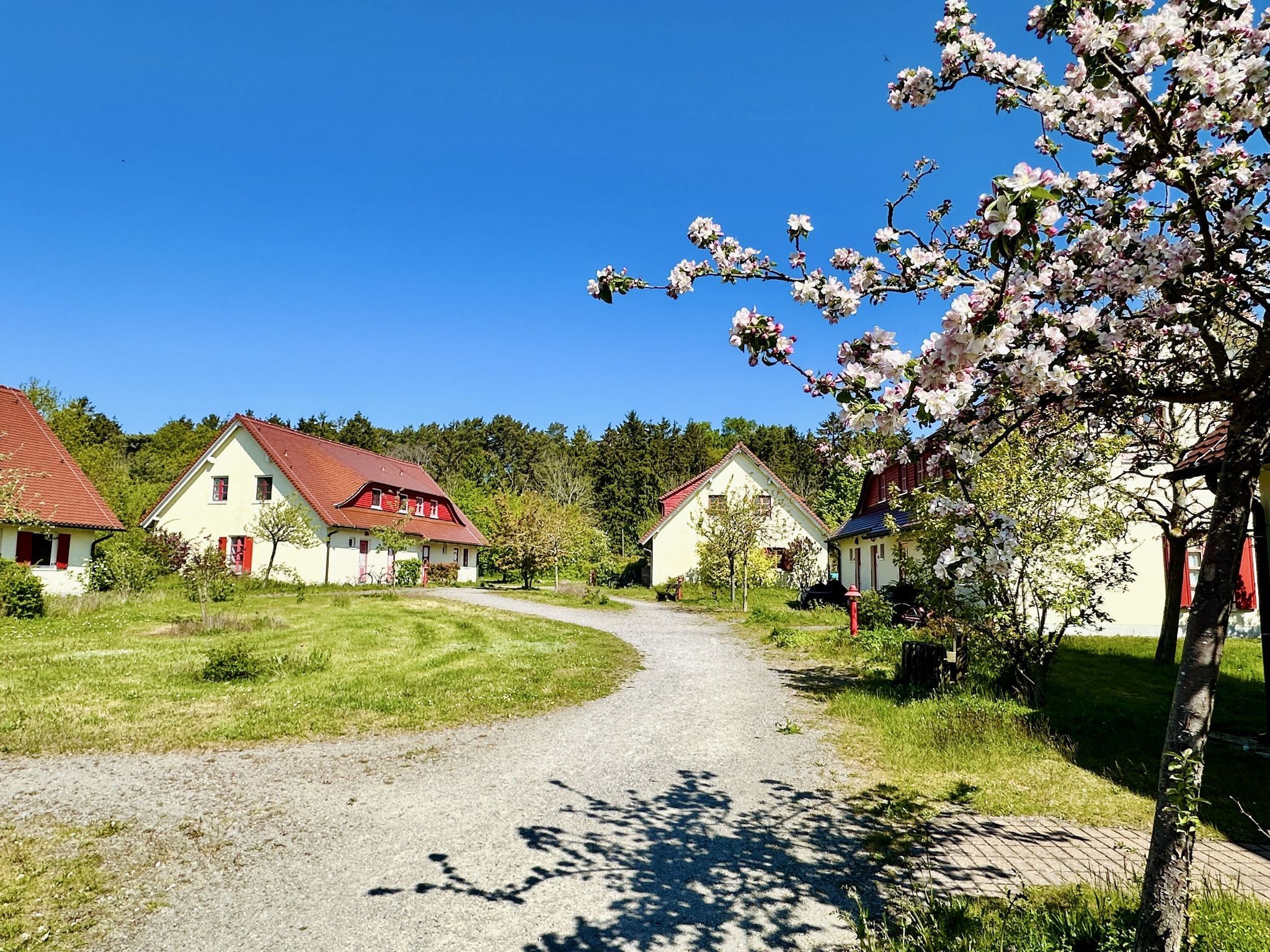 Feriendorf Rugana Komfortplus Ferienwohnung mit 1 Schlafzimmer und Terrasse (B43) Insel Rügen - Hauptansicht