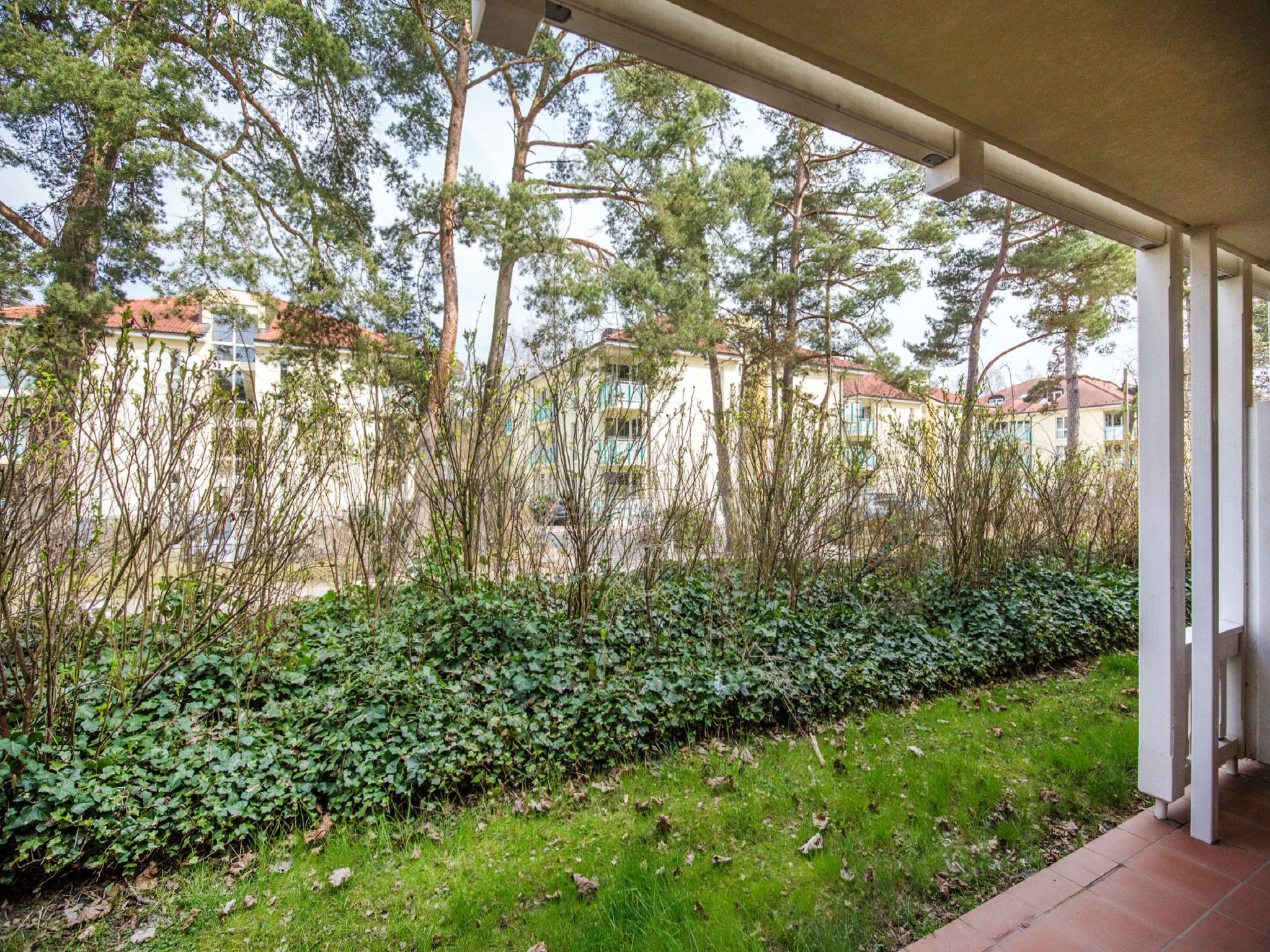 Dünenpark Binz Komfort Ferienwohnung mit 2 Schlafzimmern und Terrasse im Erdgeschoss (264) Insel Rügen - Terrasse