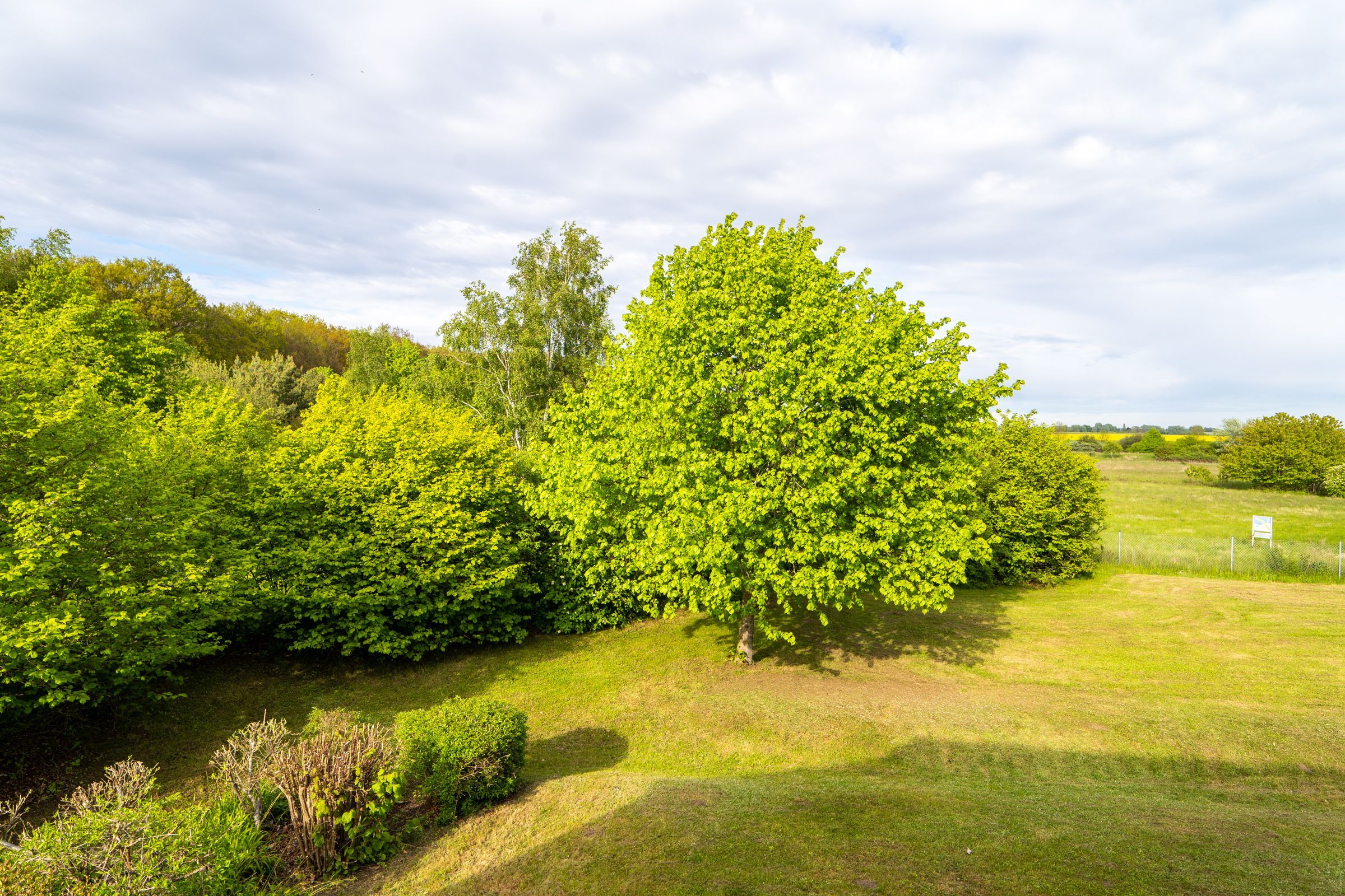 Feriendorf Rugana Komfortplus Ferienwohnung mit 1 Schlafzimmer (A22) Insel Rügen - Gartenblick