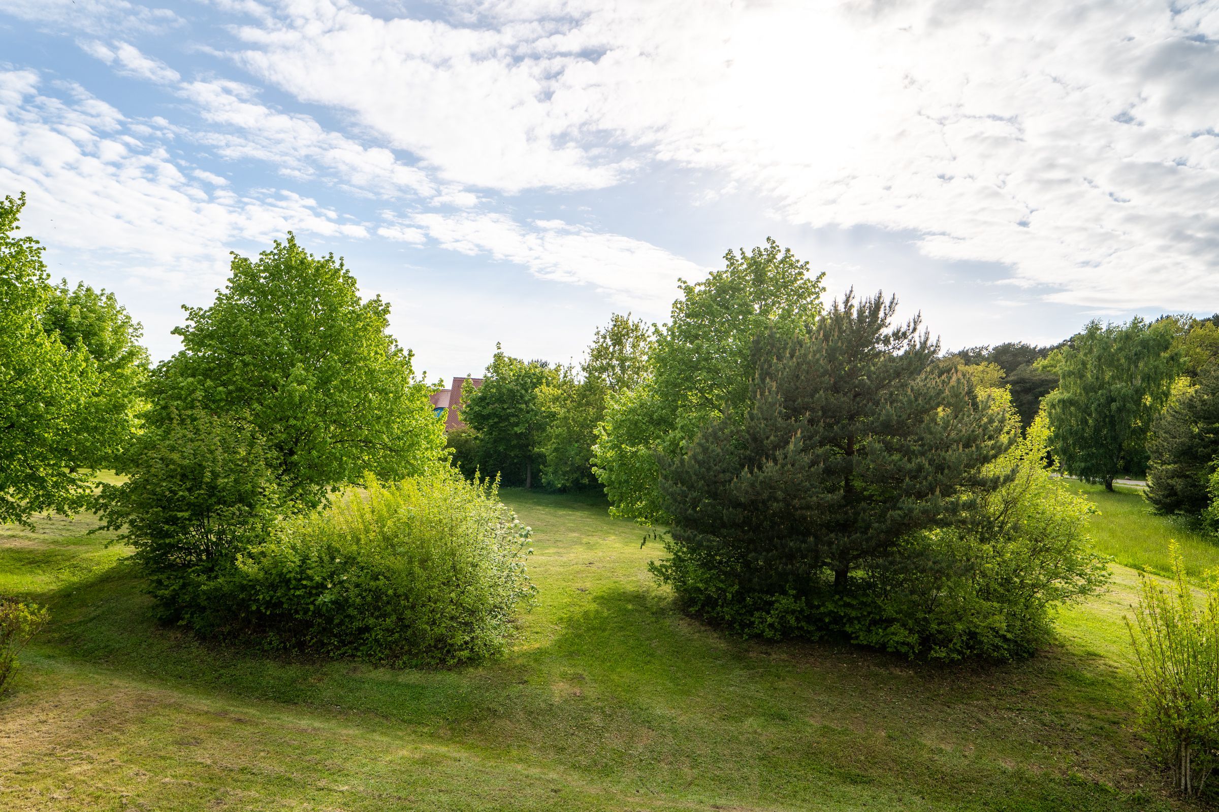 Feriendorf Rugana Komfort Ferienwohnung mit 2 Schlafzimmern und Terrasse (A25) Insel Rügen - Gartenblick