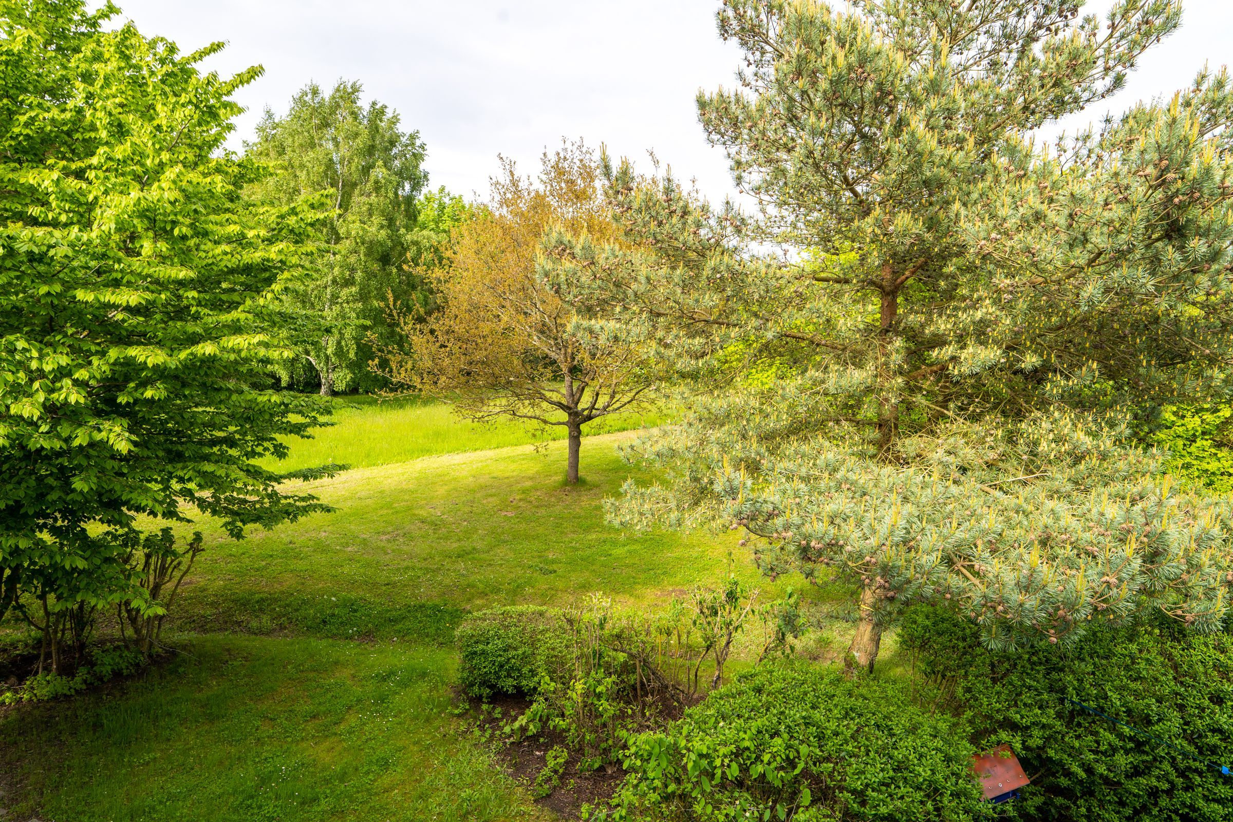 Feriendorf Rugana Komfort Ferienwohnung mit 1 Schlafzimmer (A48) Insel Rügen - Gartenblick