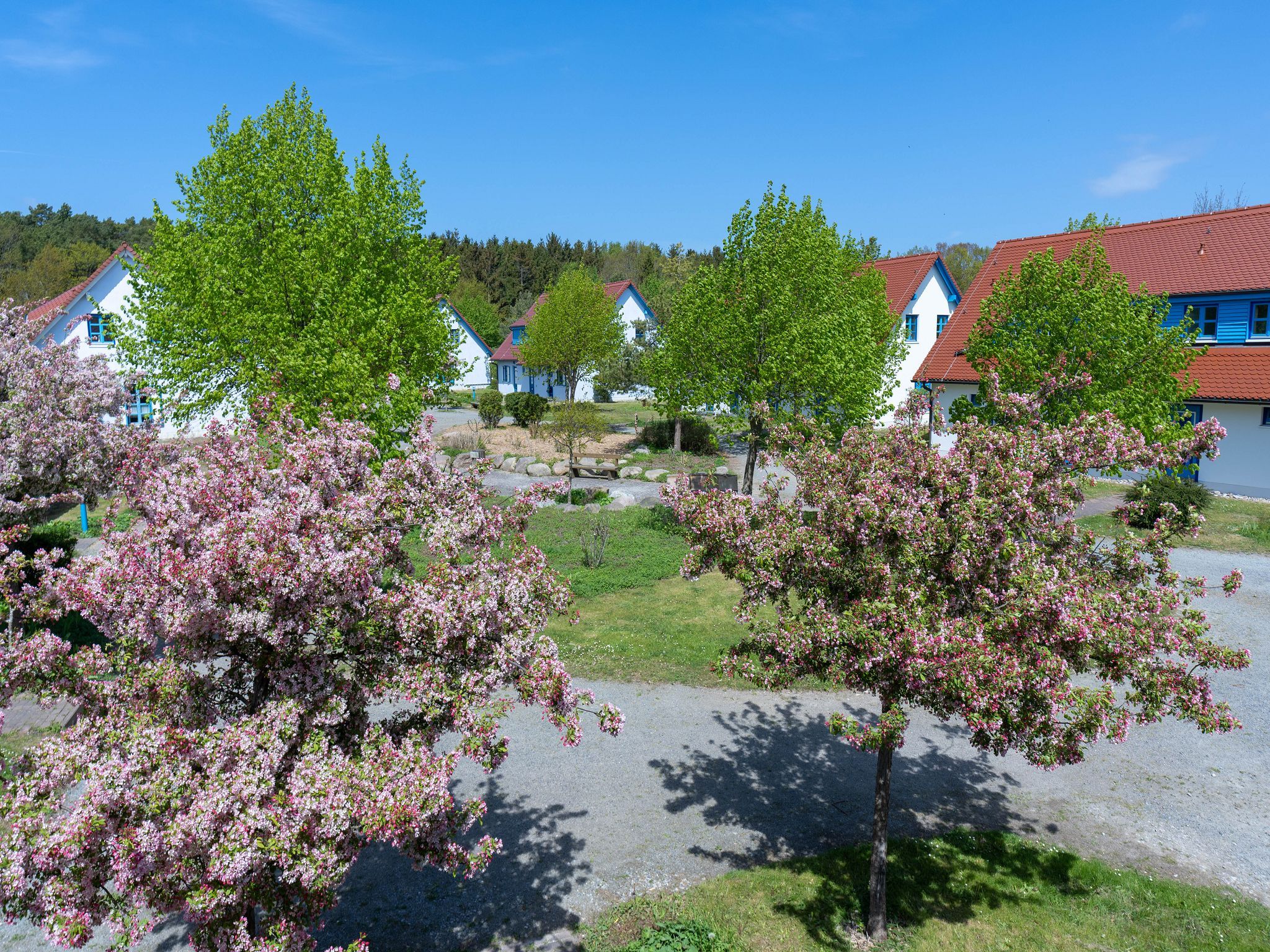 Feriendorf Rugana Budget Ferienwohnung mit 1 Schlafzimmer (A67) Insel Rügen - Gartenblick