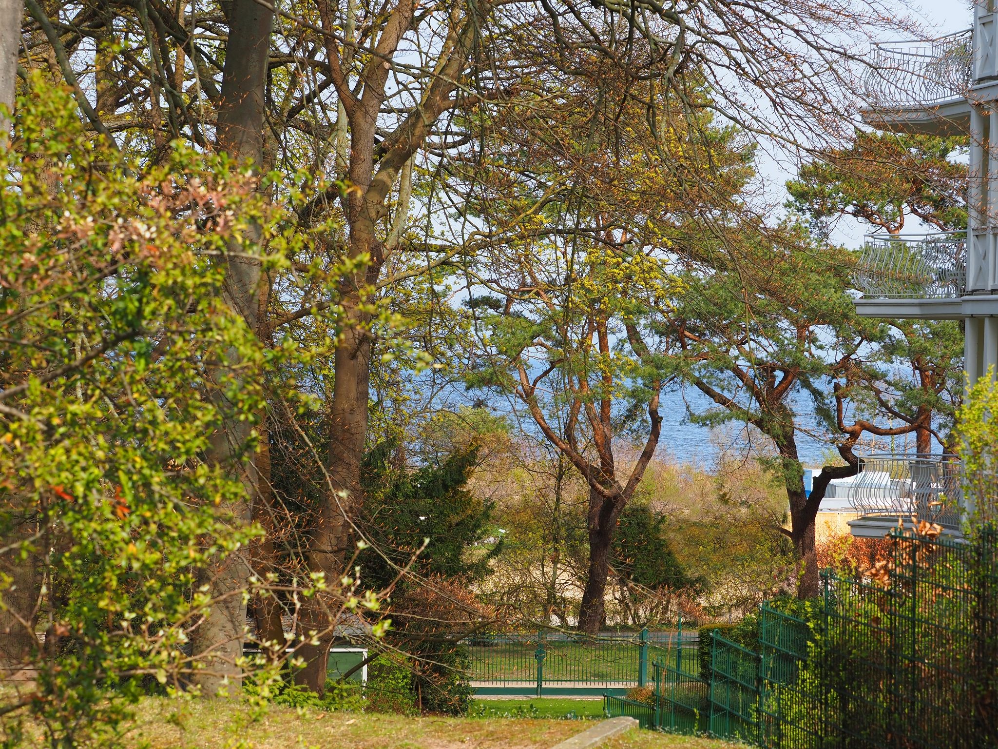 Kaiservillen Heringsdorf 1-Raum-Ferienwohnung mit Terrasse (D103) Insel Usedom - Terrasse