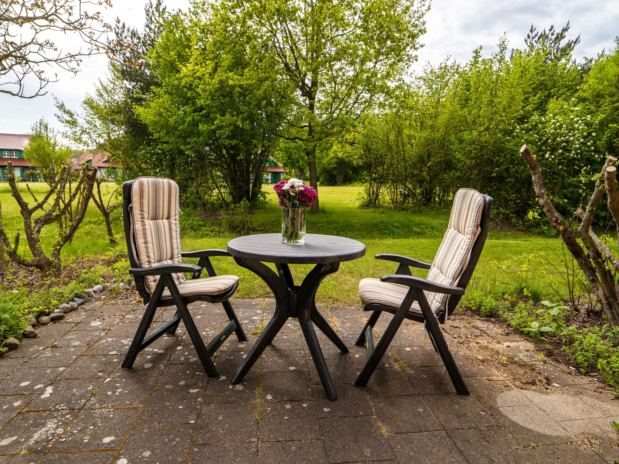 Feriendorf Rugana Klassik 1-Raum Ferienwohnung mit Terrasse (B51) Insel Rügen - Terrasse
