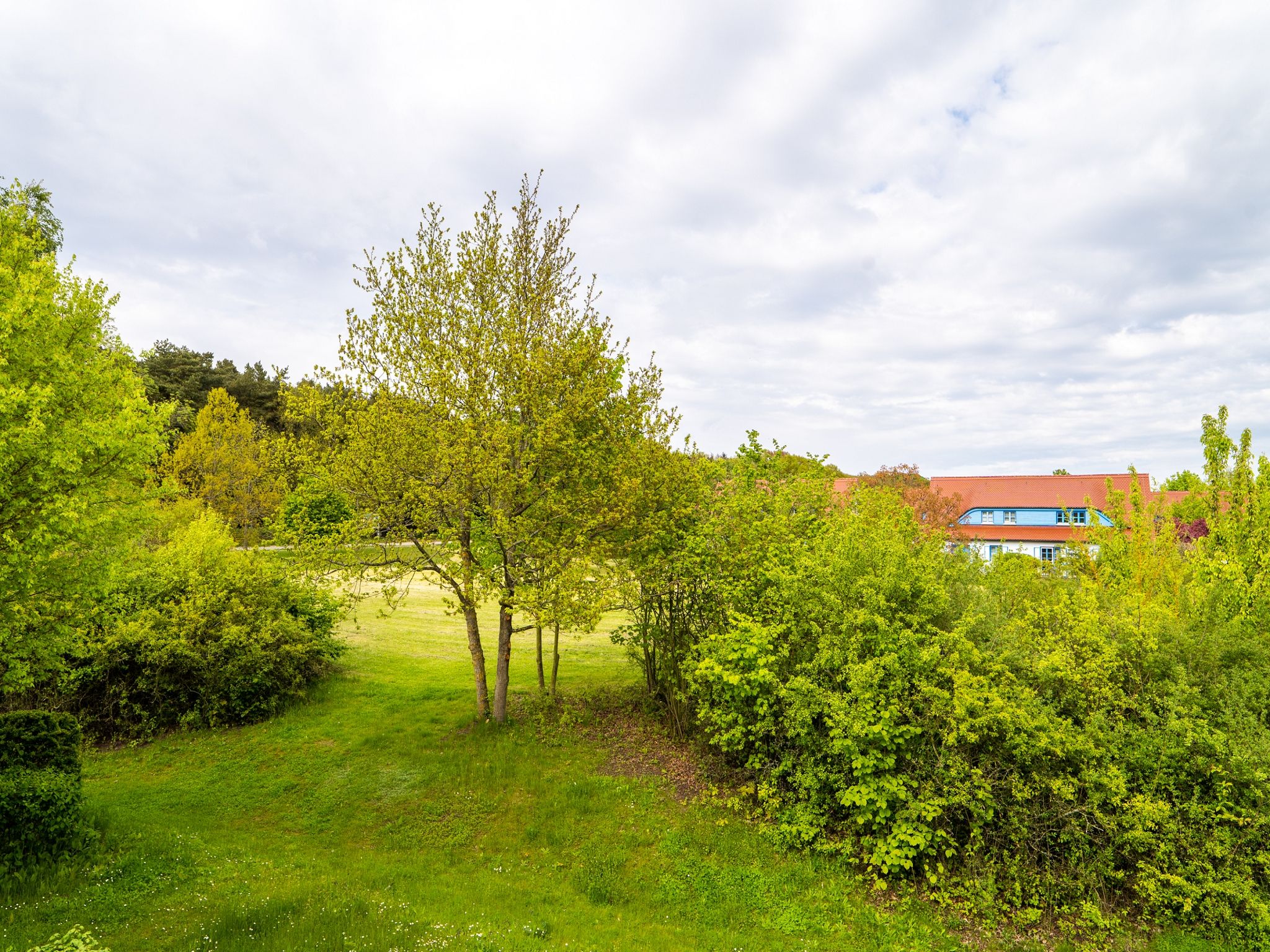 Feriendorf Rugana Komfortplus Ferienwohnung mit 1 Schlafzimmer (B12) Insel Rügen - Gartenblick