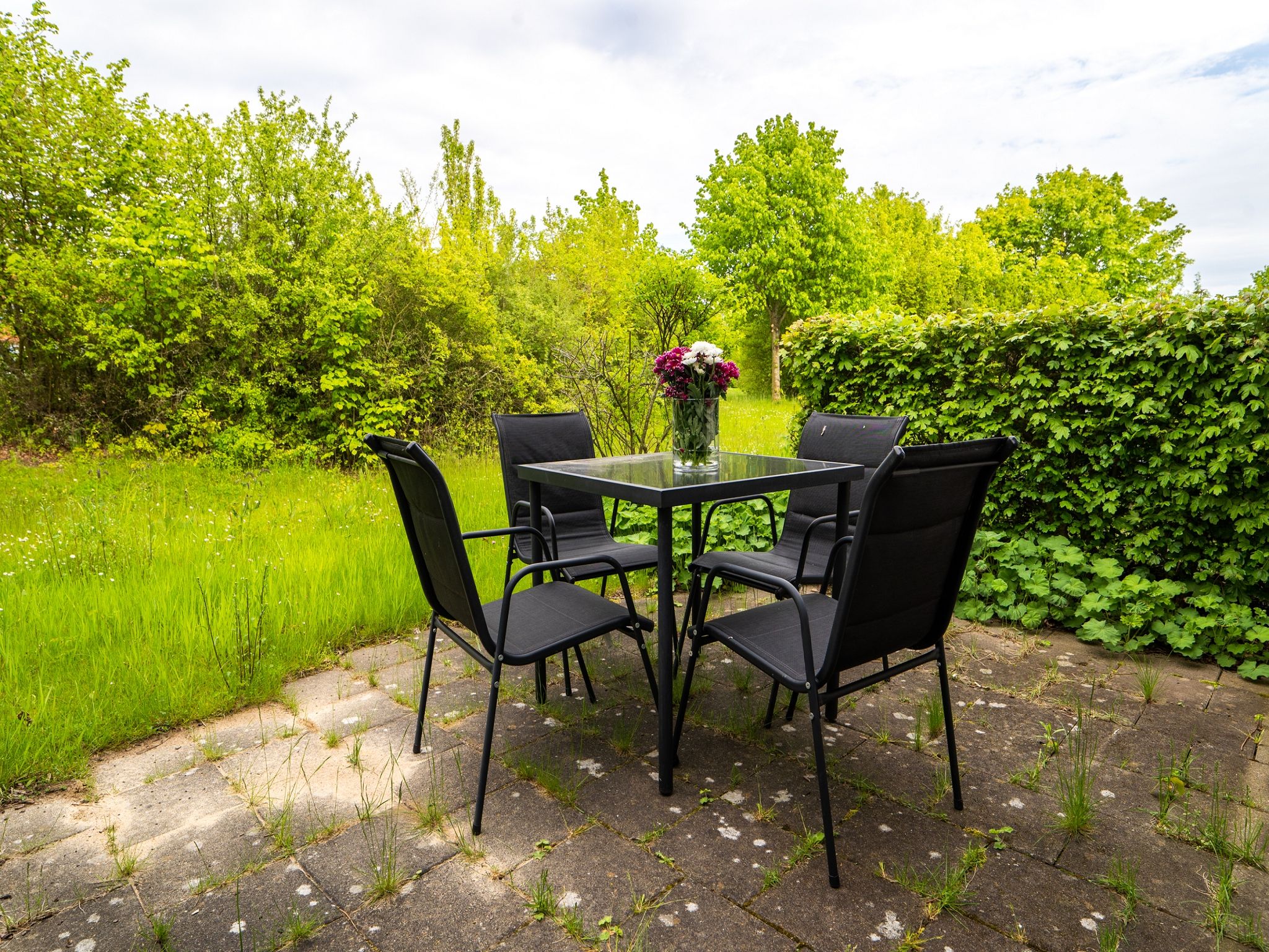 Feriendorf Rugana Komfortplus 1-Raum Ferienwohnung mit Terrasse (B14) Insel Rügen - Terrasse