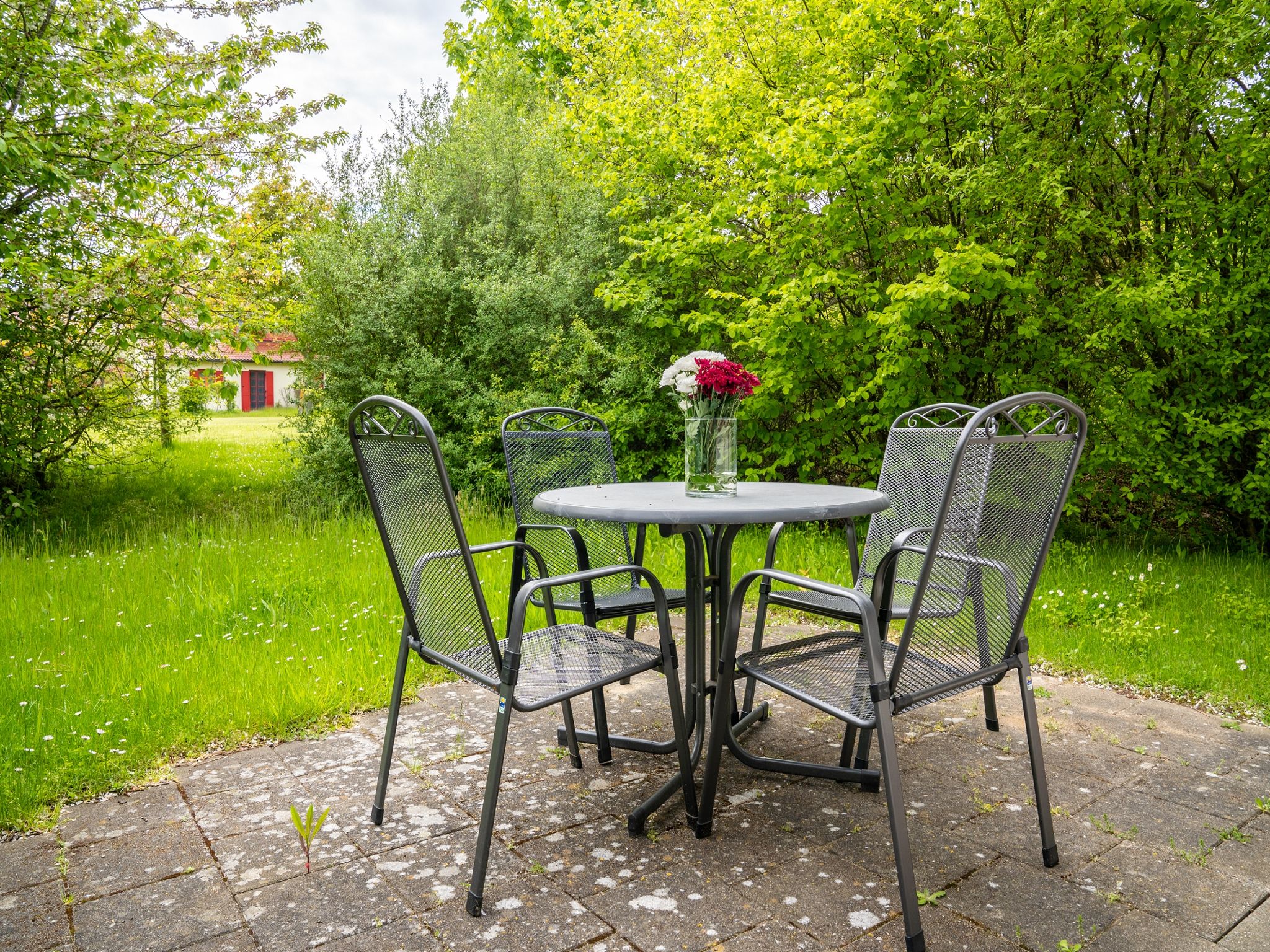 Feriendorf Rugana Komfortplus Ferienwohnung mit 1 Schlafzimmer und Terrasse (B25) Insel Rügen - Terrasse