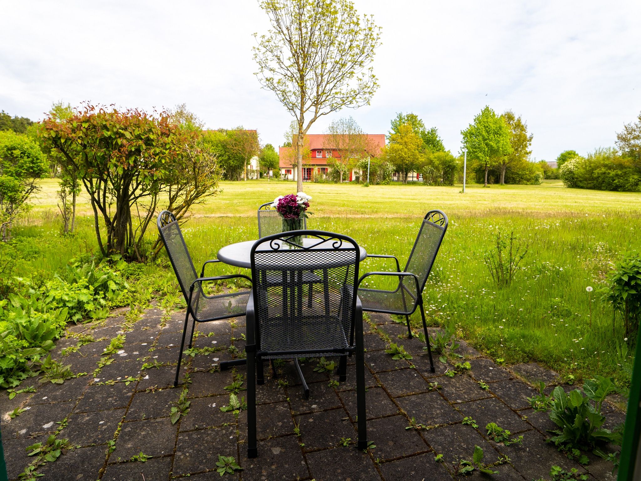 Feriendorf Rugana Klassik 1-Raum Ferienwohnung mit Terrasse (C12) Insel Rügen - Terrasse