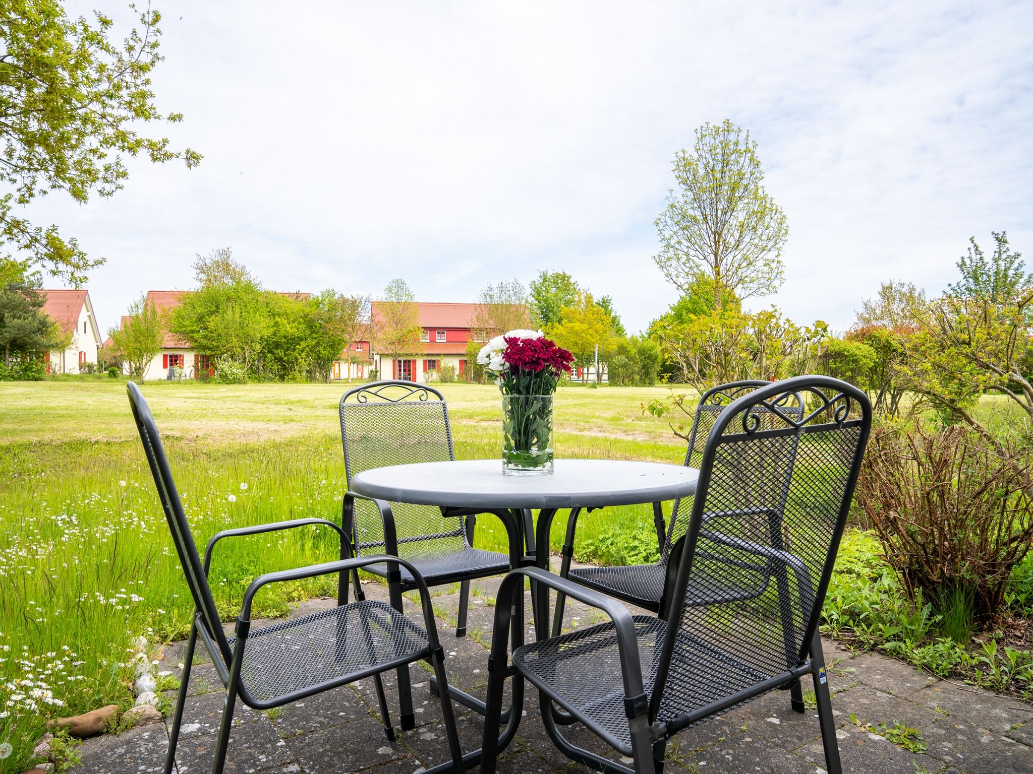 Feriendorf Rugana Komfort Ferienwohnung mit 1 Schlafzimmer und Terrasse (C13) Insel Rügen - Terrasse