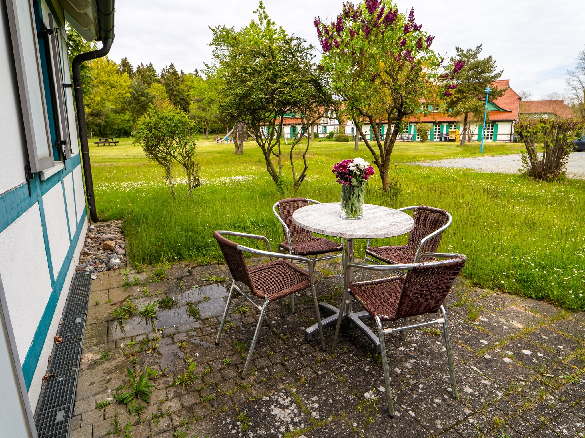 Feriendorf Rugana Klassik Ferienwohnung mit 1 Schlafzimmern und Terrasse (C33) Insel Rügen - Terrasse