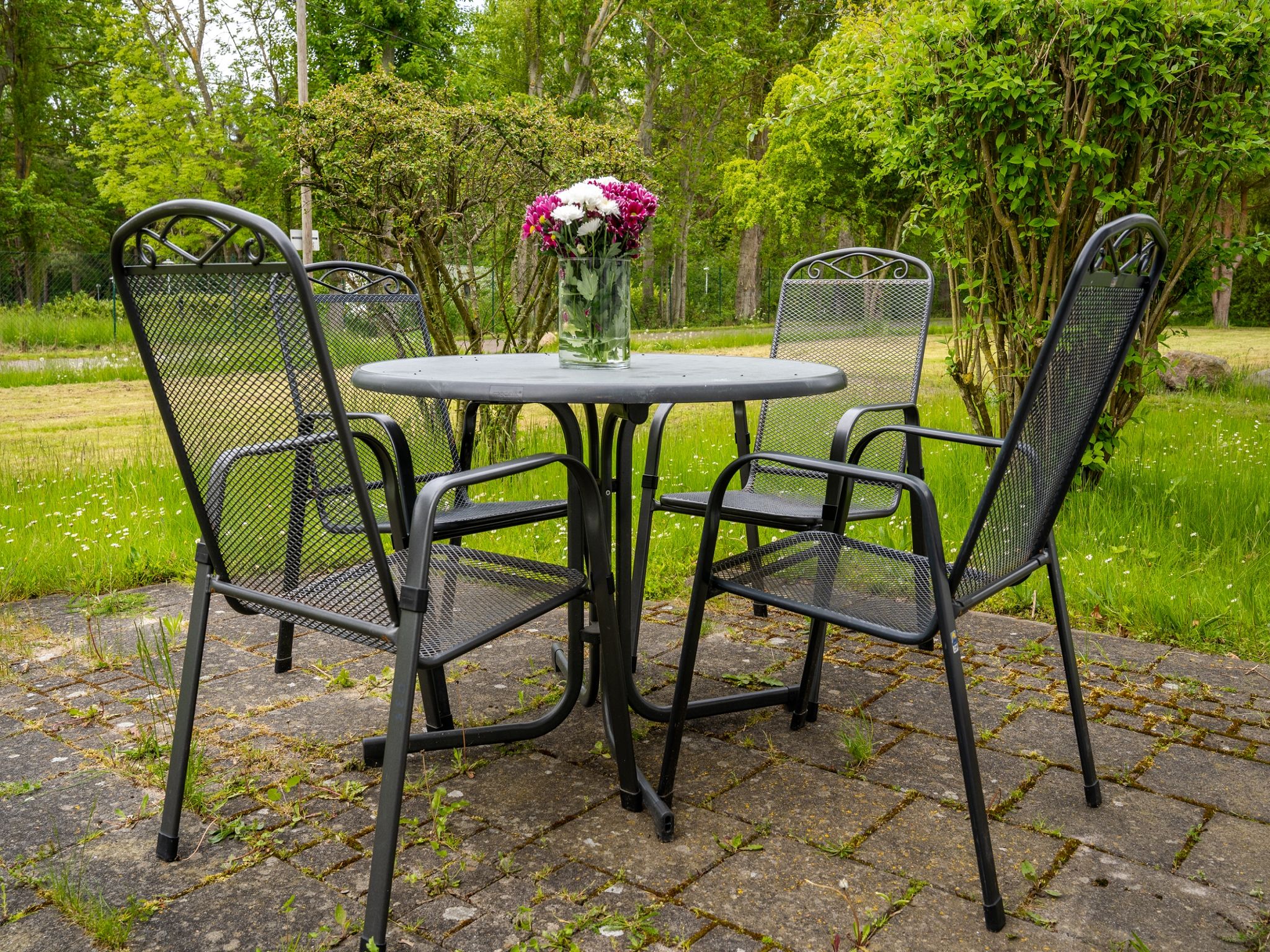 Feriendorf Rugana Komfortplus Ferienwohnung mit 1 Schlafzimmern und Terrasse (C39) Insel Rügen - Terrasse