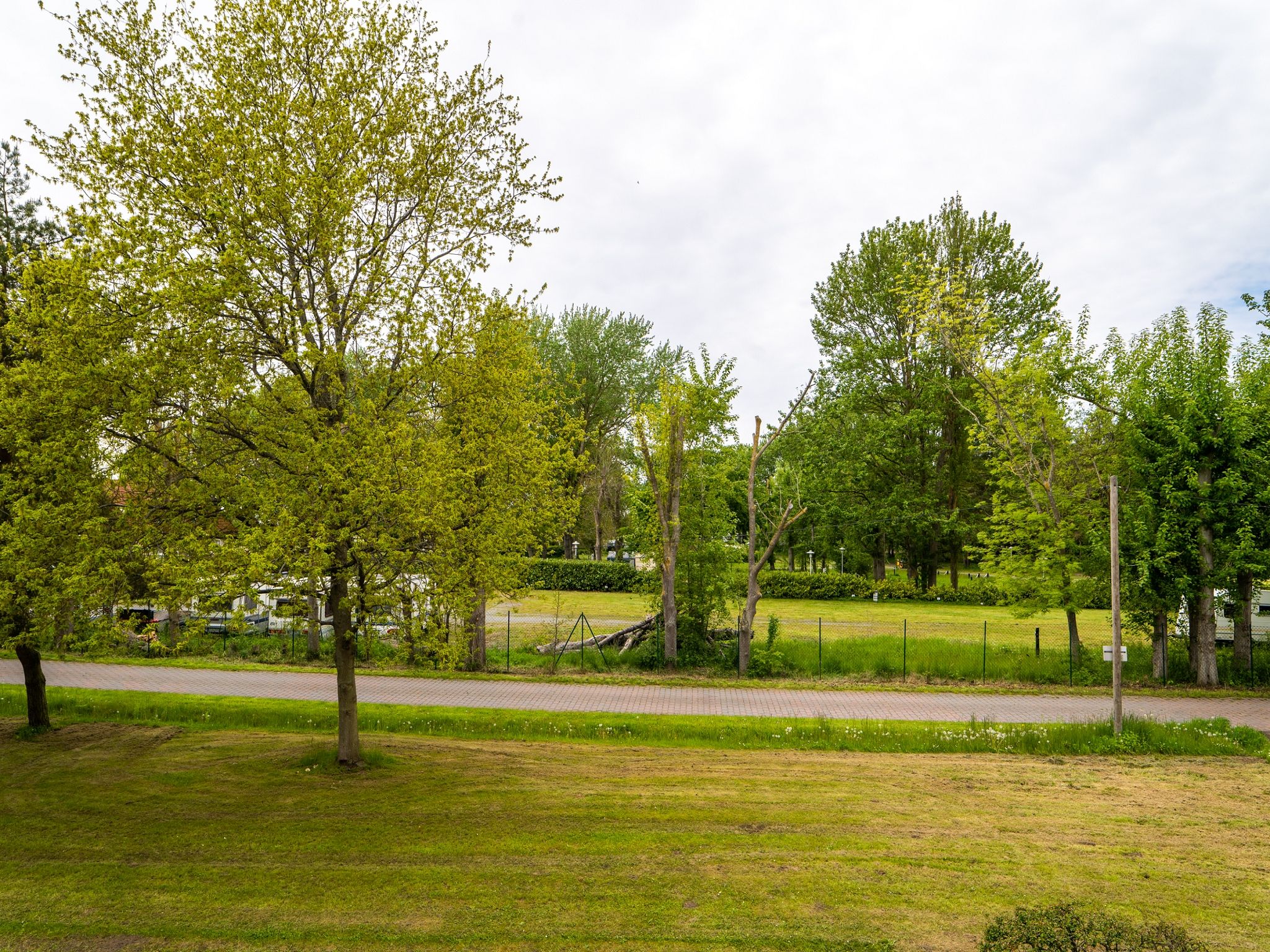 Feriendorf Rugana Klassik Ferienwohnung mit 1 Schlafzimmer (C40) Insel Rügen - Gartenblick