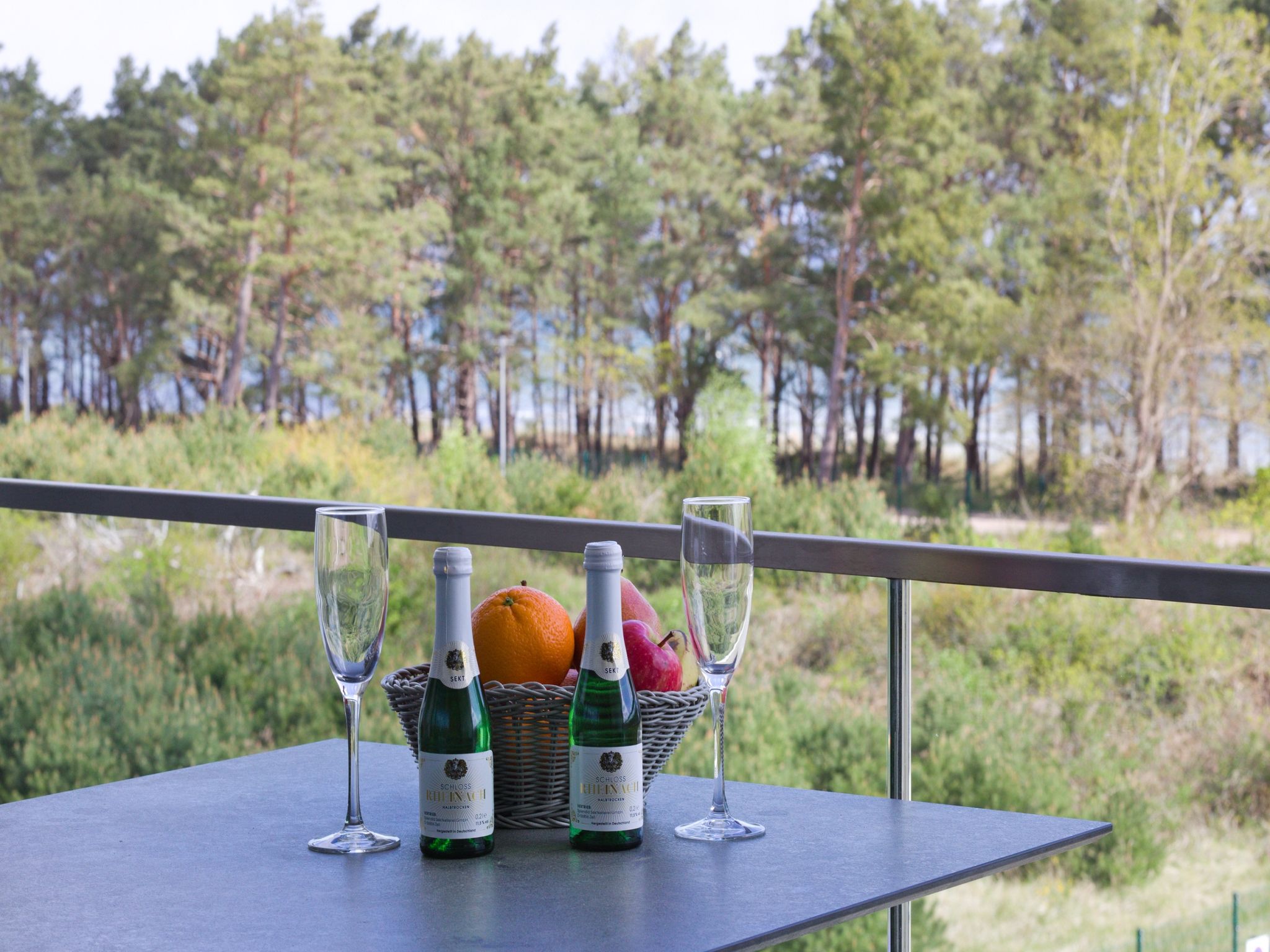 Dünenresidenz Prora Ferienwohnung mit Meerblick, 2 Schlafzimmern und Loggia (NP/318) Insel Rügen - Meerblick