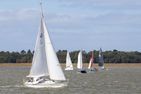  Kleine Perle auf Amrum Norddorf - 