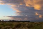  Wiese & Watt Norddorf - 