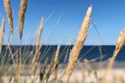  Haus am Meer Whg.46 Westerland - 