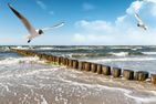  Haus am Meer Whg.46 Westerland - Dekoratives Detail