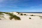 Ferienhaus Seewind1 Siedlung - Strand