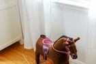  (36) Ferienhaus Lillebacken in Alleinlage am Öasjön Smaland - 