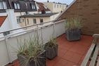  Studio 10 Damenpfad 32 Norderney - Balkon