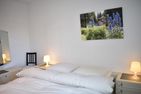 Damiez (371 Br) Lenzerheide - 