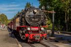  Steinbachhütte 1 Wernigerode - 