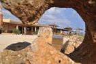  Mercedes Mallorca - Ostküste - 