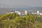  Mercedes Mallorca - Ostküste - 