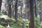 H.O.M.E. Suites Braunlage Wohnung 3 Braunlage - 