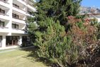  Astoria (174 Se) Lenzerheide - 