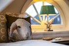  Haus Sylter Träume Tinnum - Schlafzimmer