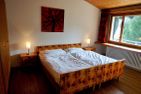  Ulrike (709 Sh) ***s in Lenzerheide Lenzerheide - 
