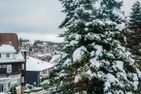  Landgraf Braunlage - 