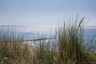 Amrumer Welle Ferienwohnung „Aalto" Wittdün auf Amrum - Meerblick aus der Ferienwohnung Aalto in Wittdün auf Amrum