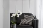 Amrumer Welle Ferienwohnung „Aalto" Wittdün auf Amrum - Sofa Ferienwohnung Aalto in Wittdün auf Amrum
