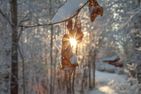  (38) Ferienhaus am See Lilla Nätaren in Schweden Smaland - 