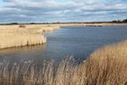  Robbe Greetsiel/Krummhörn - Landschaft