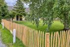  Friesenkrabbe Almdorf - 