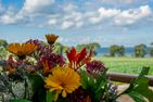Ferienbauernhof Liesenberg Meerblickhaus Ostseebrise Fehmarn - 