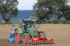 Ferienbauernhof Liesenberg Bauernhauswohnung Landlust Fehmarn - 